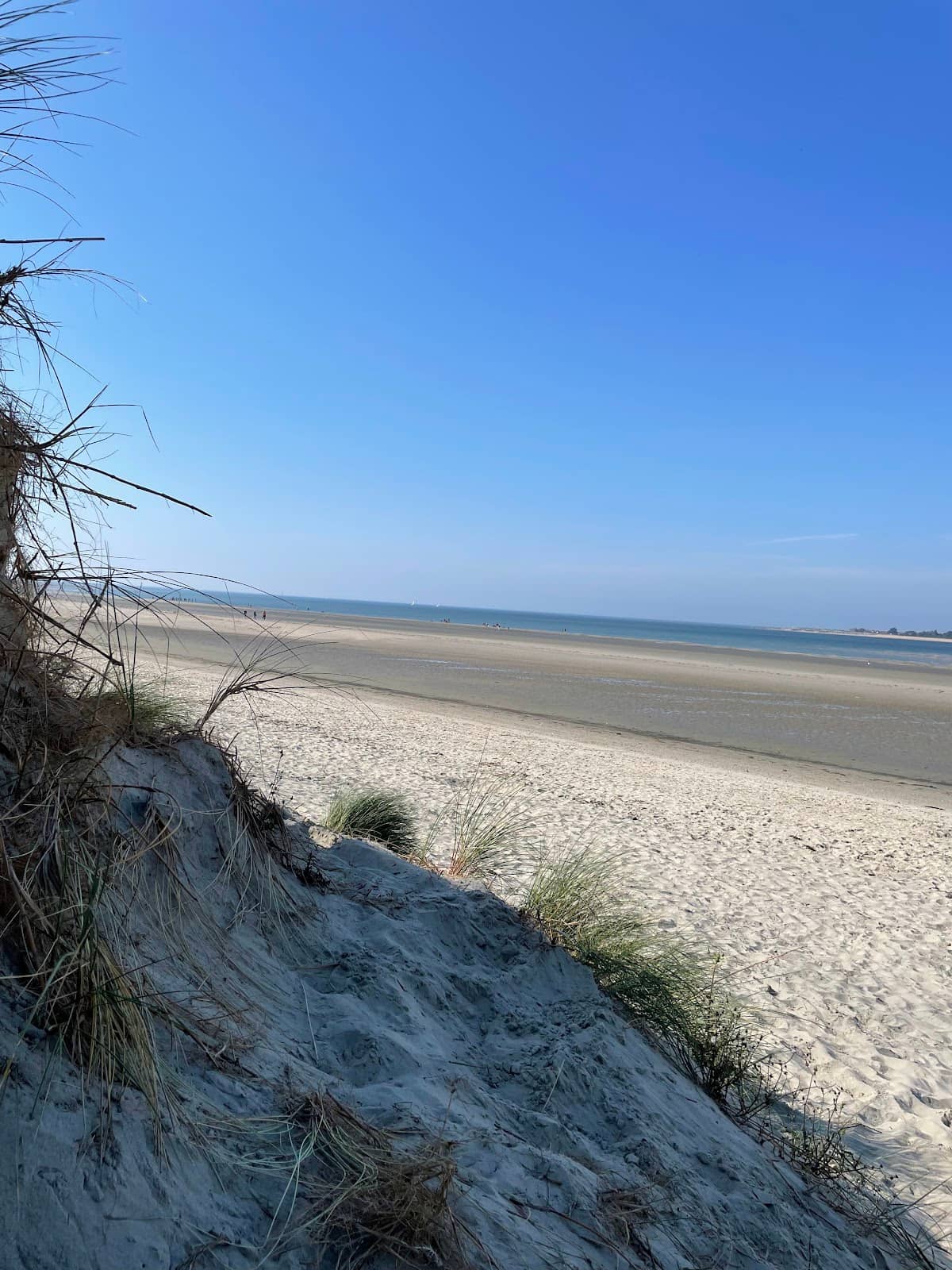 Chichester Harbour Views