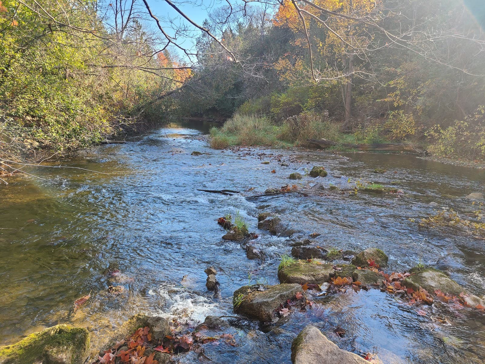 Apps Mill Nature Centre - Image 1