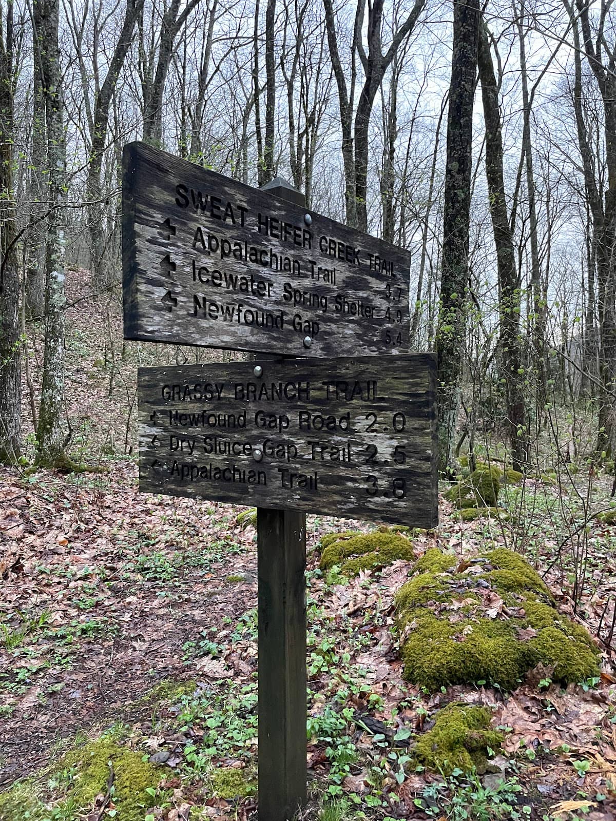 Oconaluftee River Views