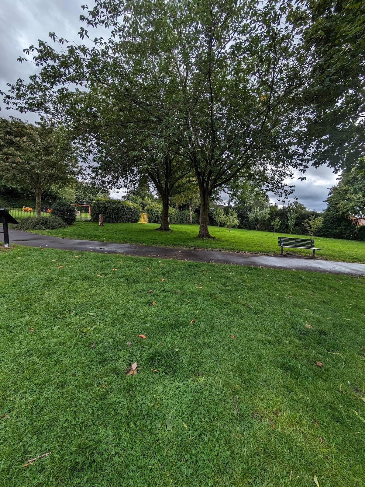 Peaceful Walking Paths