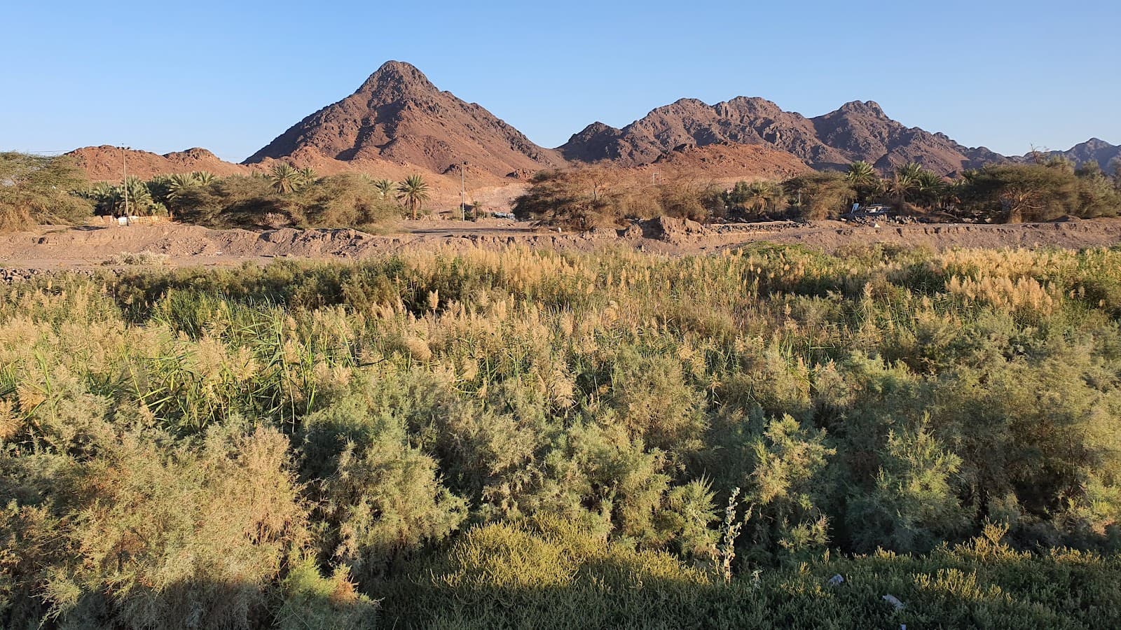 Wadi Al-Aqiq Sacred Valley - Image 1