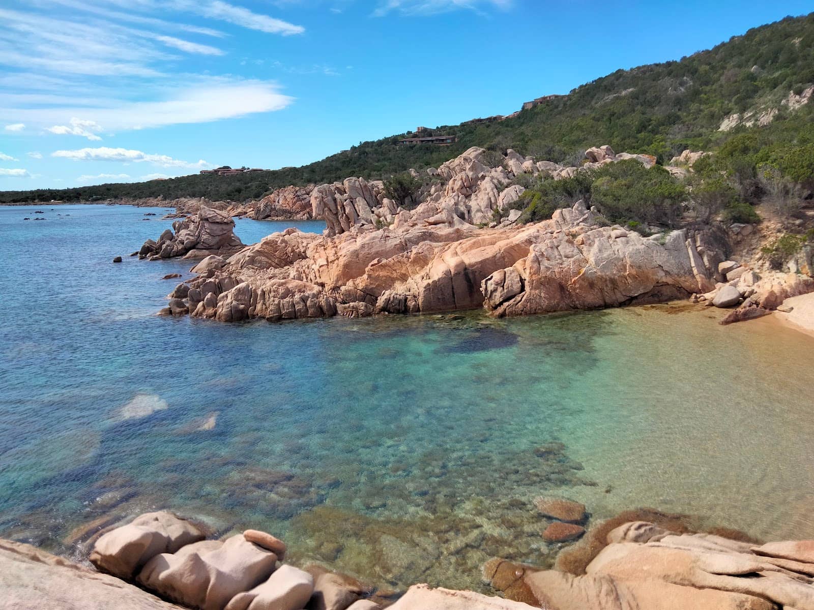 Abundant Marine Life