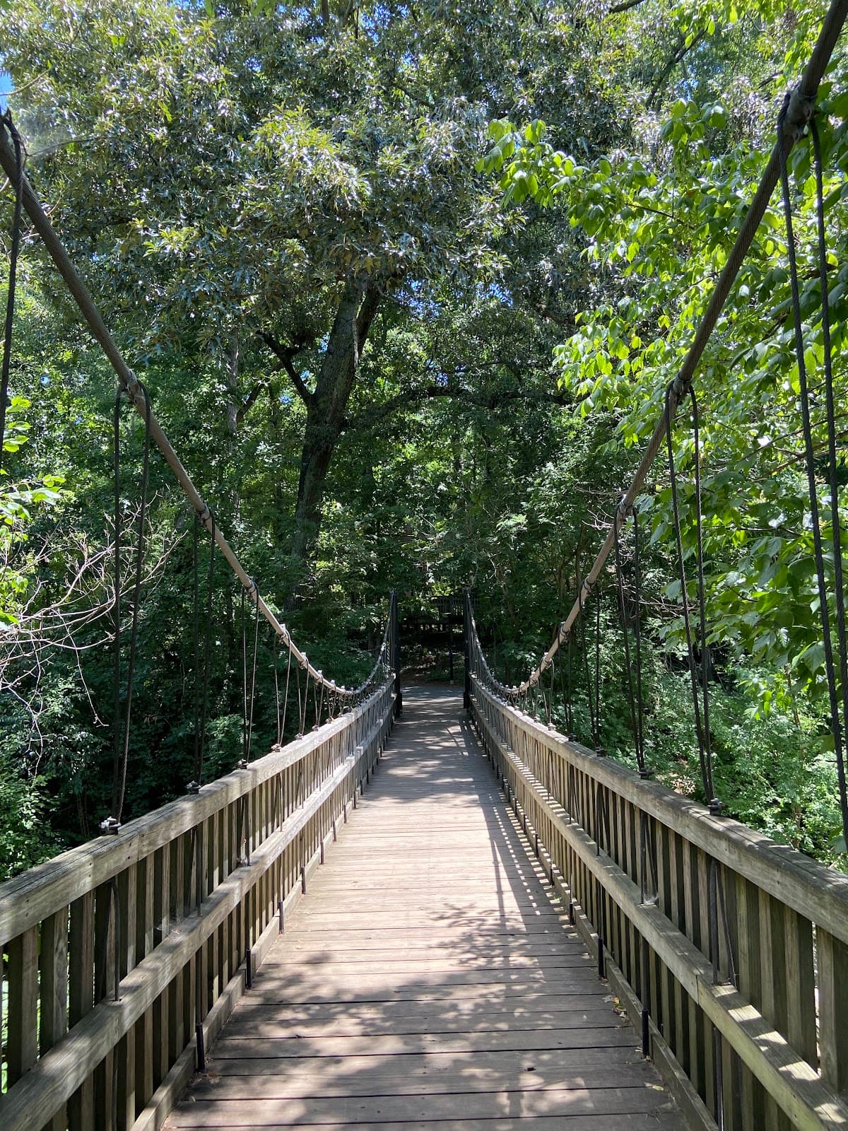 Freedom Park - Image 1