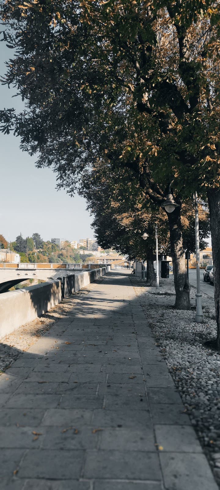 Corso Statuto - Image 1