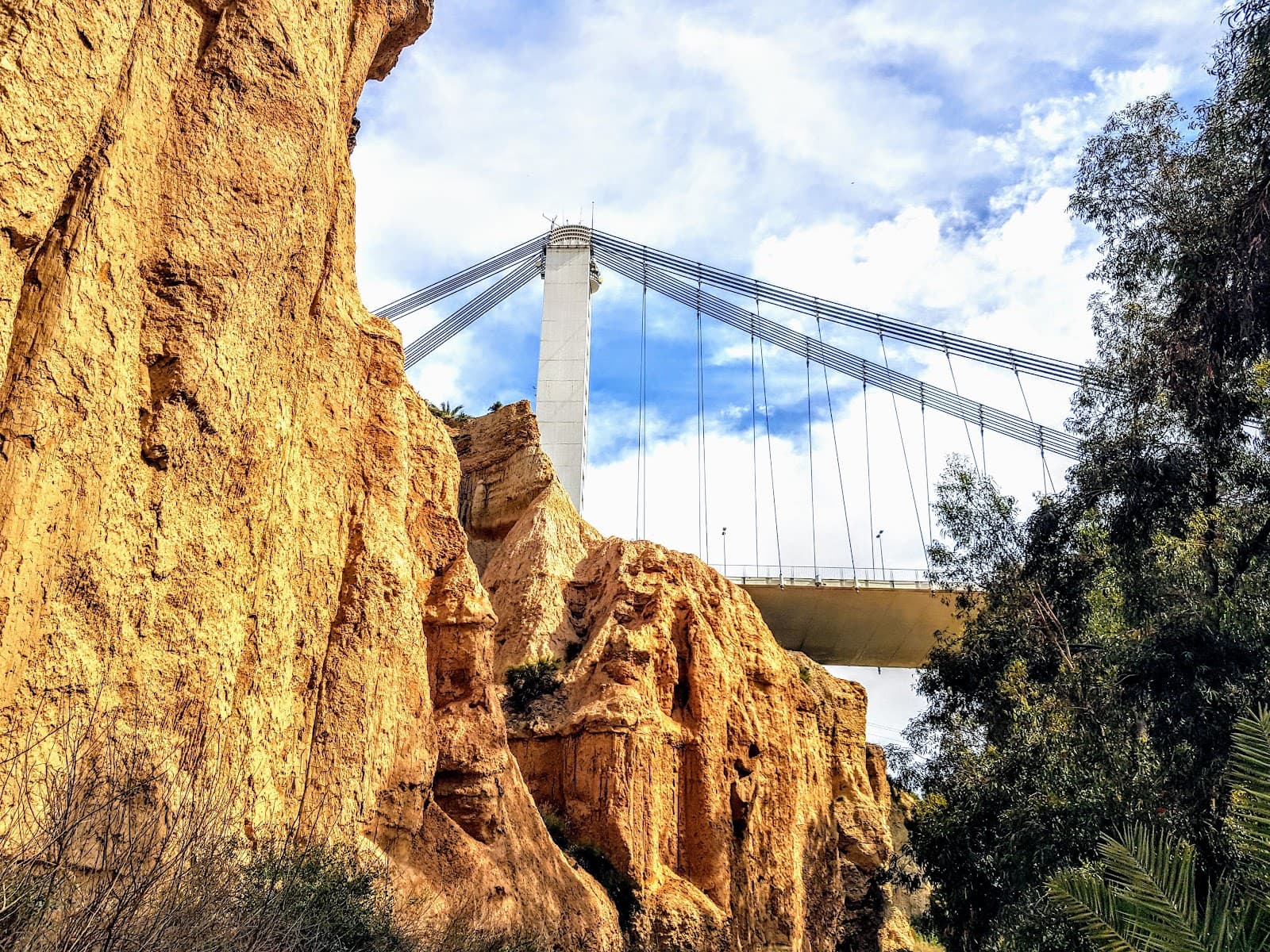 Vinalopó Riverbed Murals - Image 1