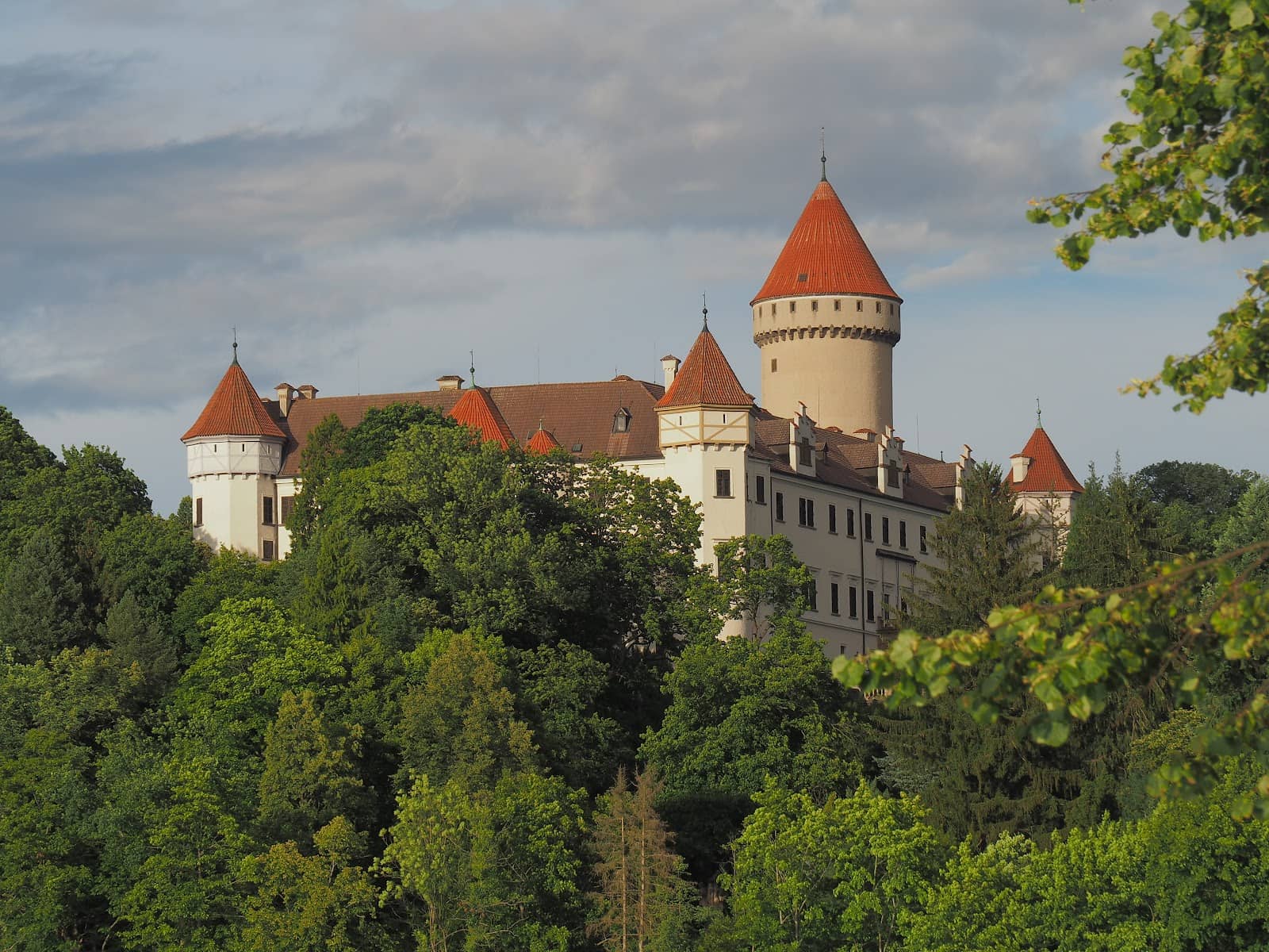 Local Czech Pub Experience