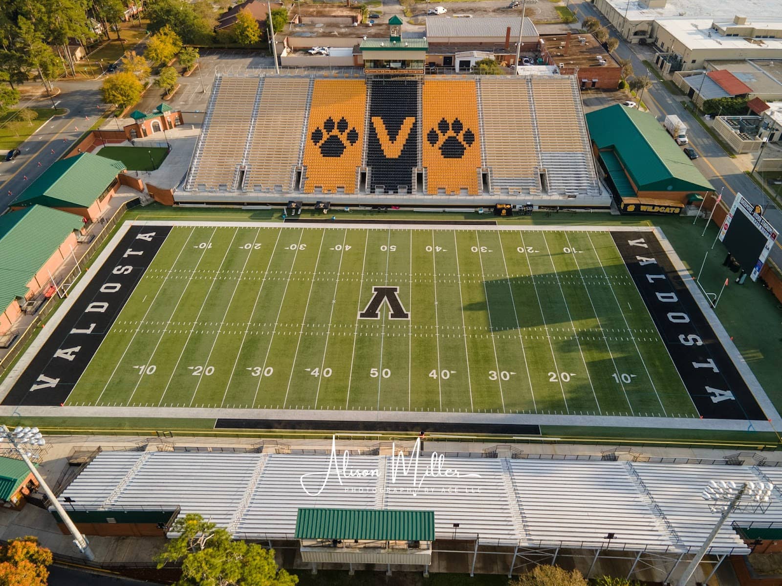 Marching Wildcats Performances