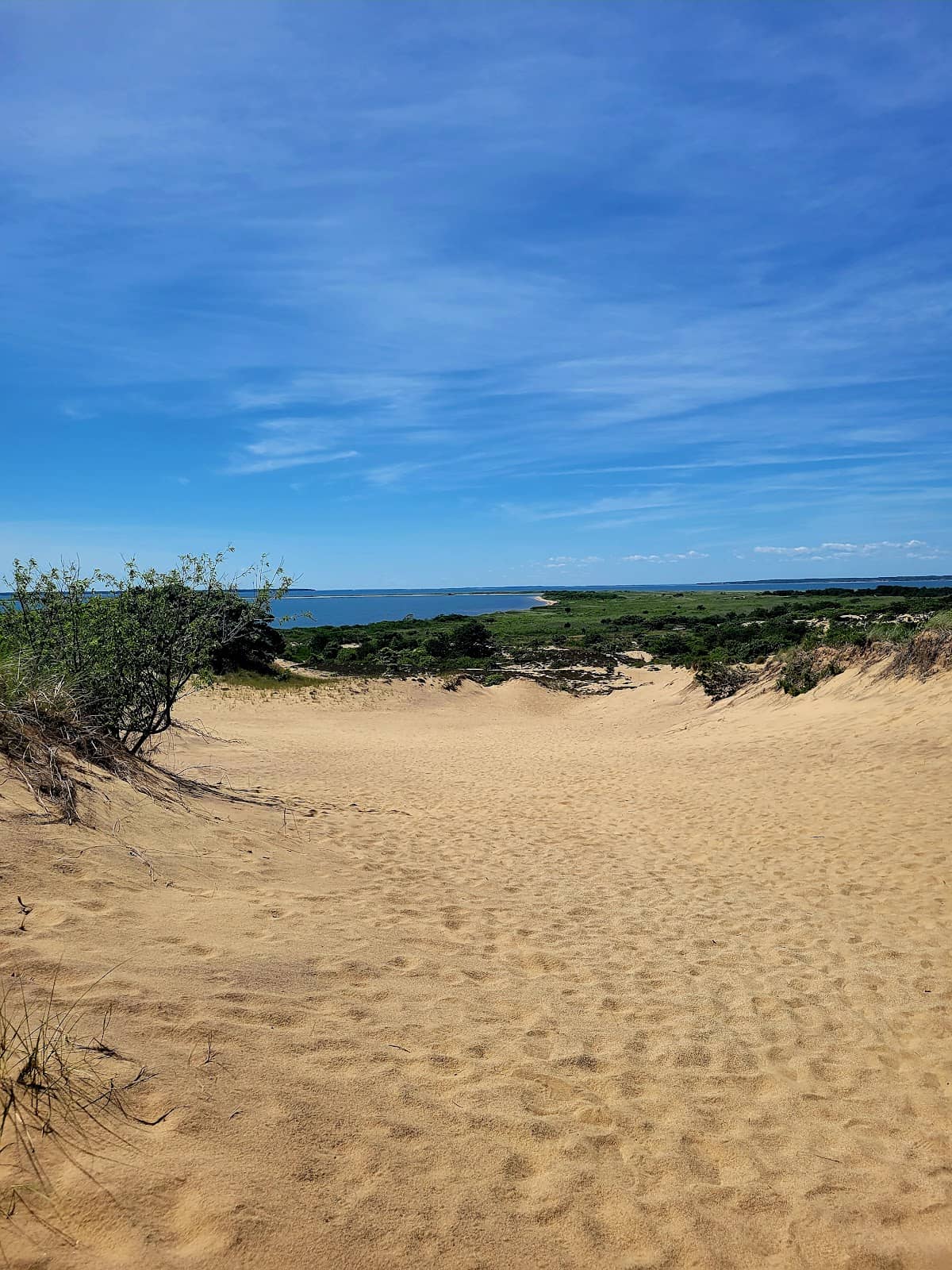 Scenic Hiking Trails