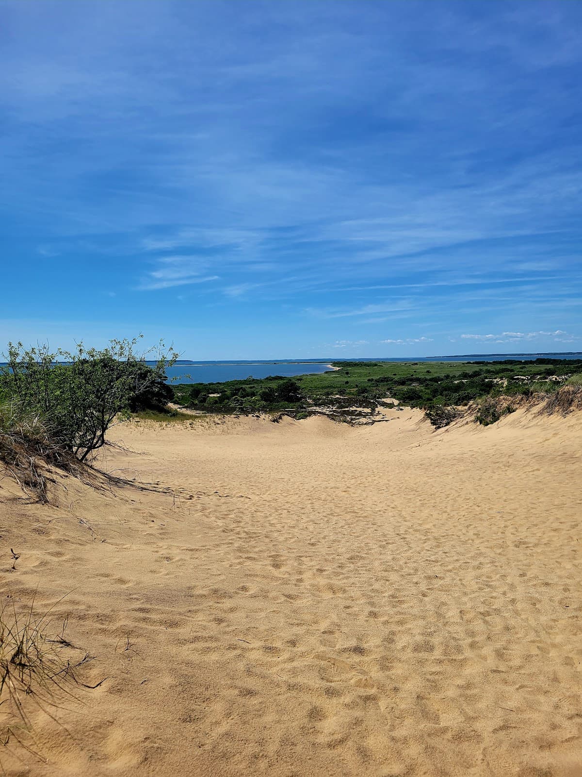 Walking Dunes Napeague - Image 1