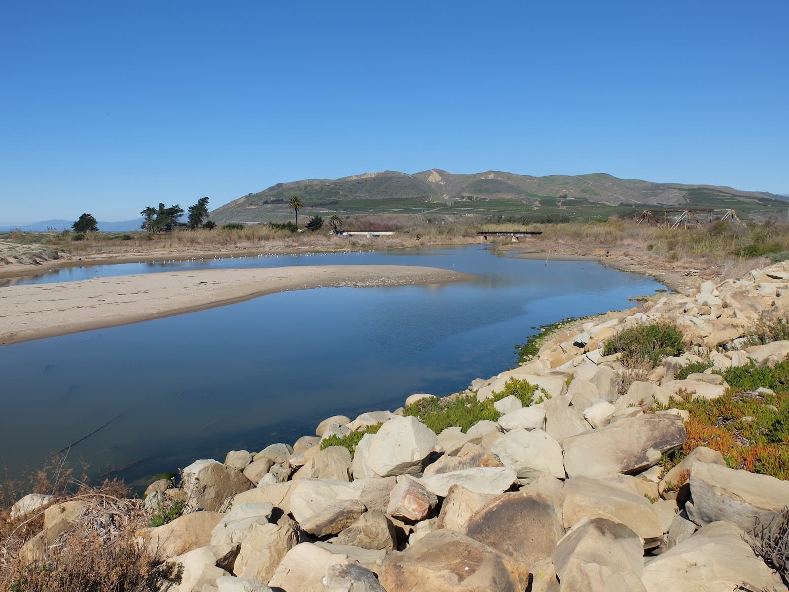 Santa Clara River Estuary - Image 1
