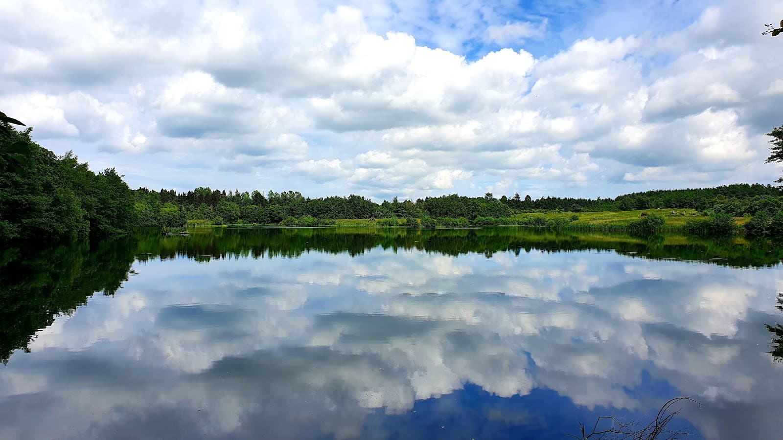 Birnie & Gaddon Lochs Nature Reserve - Image 1