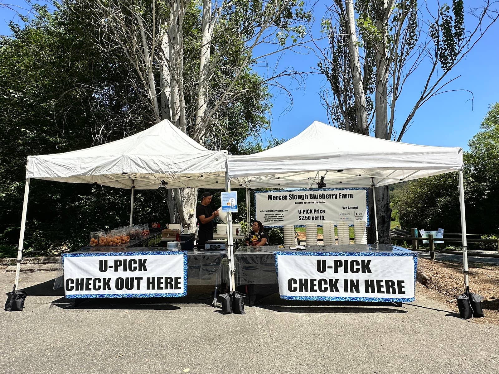 Seasonal Produce Market