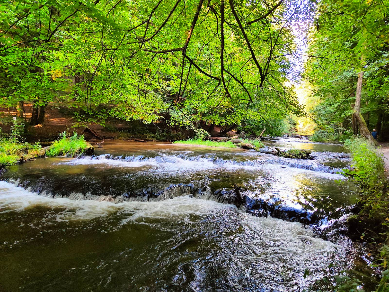 Picturesque Riverbanks