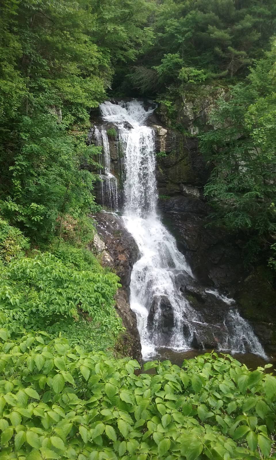 Winter Picnic Area Views