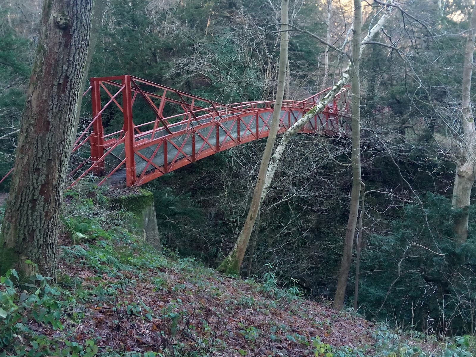 Castle Eden Dene National Nature Reserve - Image 1