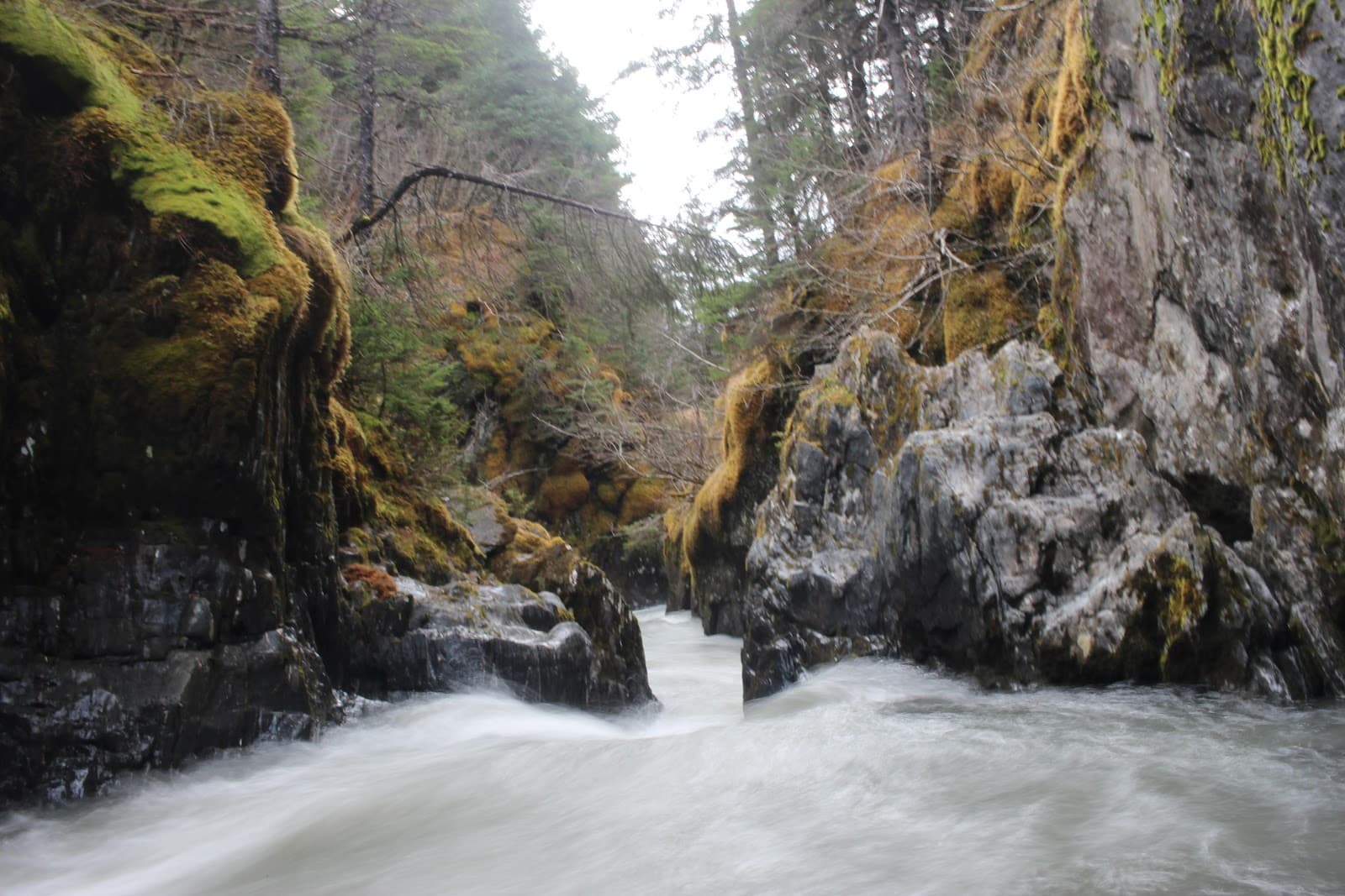Winner Creek Trail Girdwood - Image 1