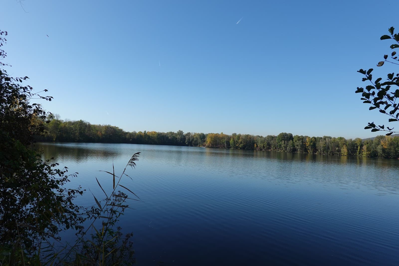 Traun-Auen Nature Reserve - Image 1