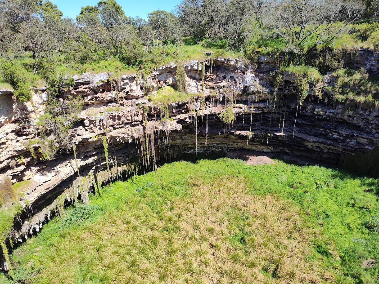 Penambol Conservation Park Caroline Sinkhole - Image 1