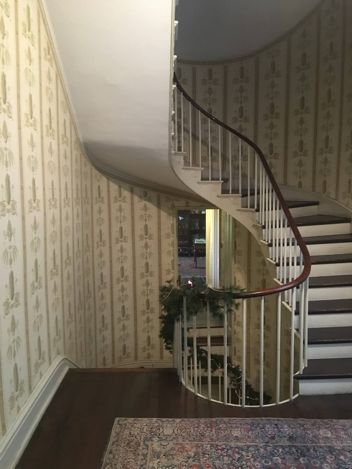 Knowledgeable Guided Tours