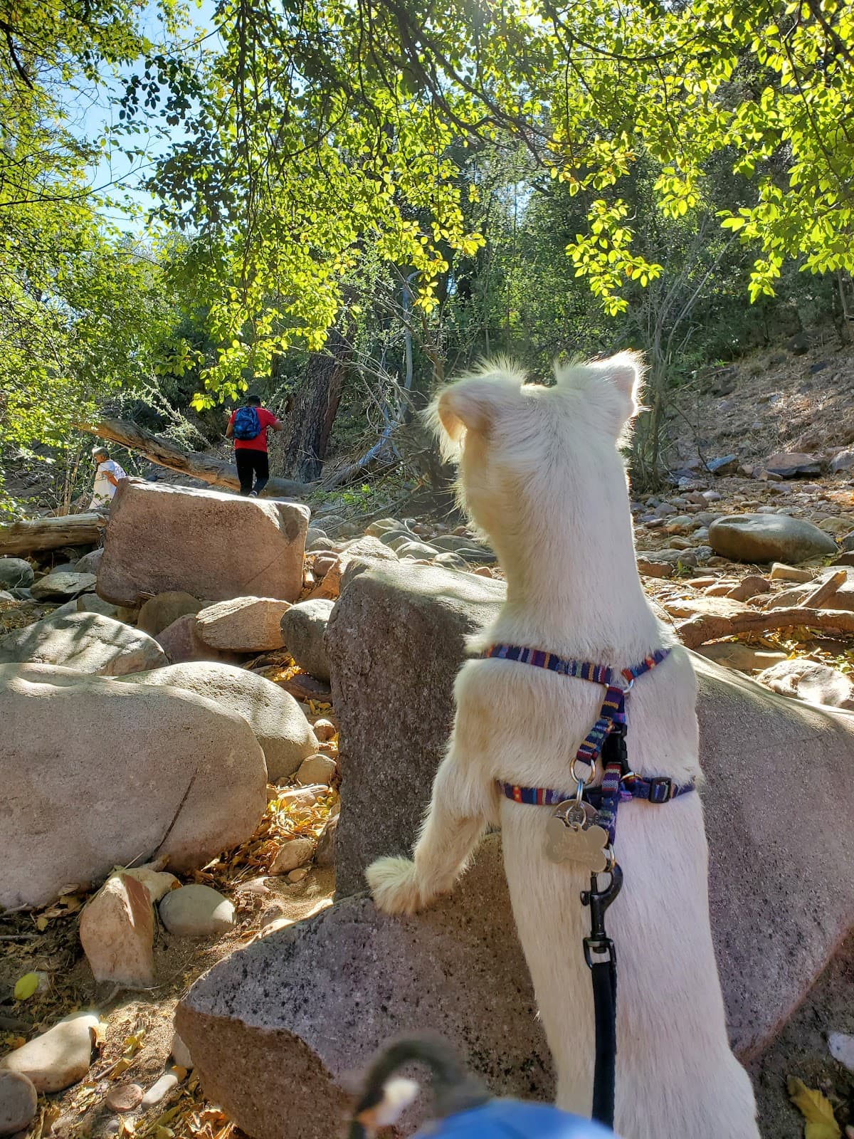 Haigler Creek Recreation Area - Image 1