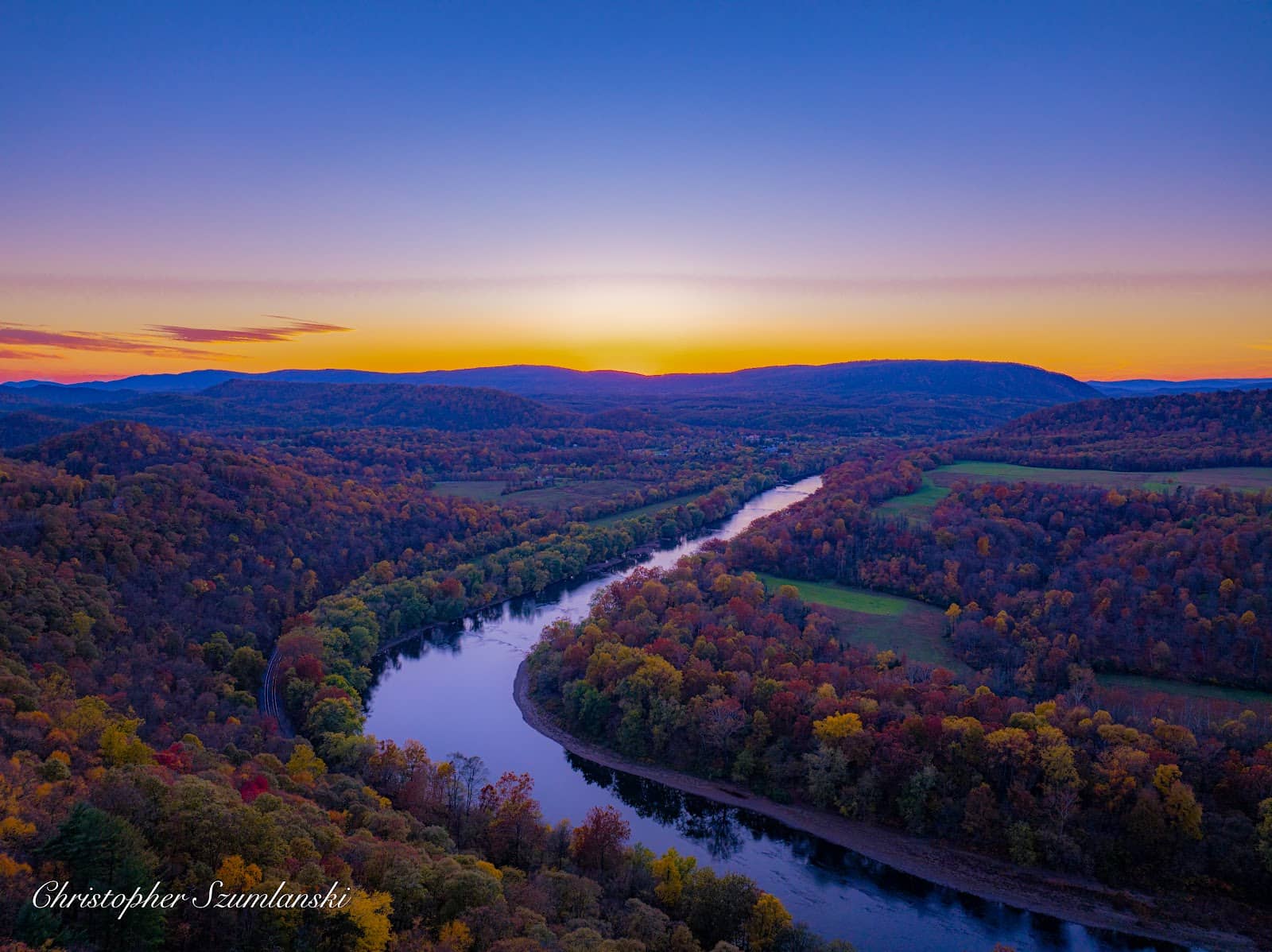 Autumn Foliage Display