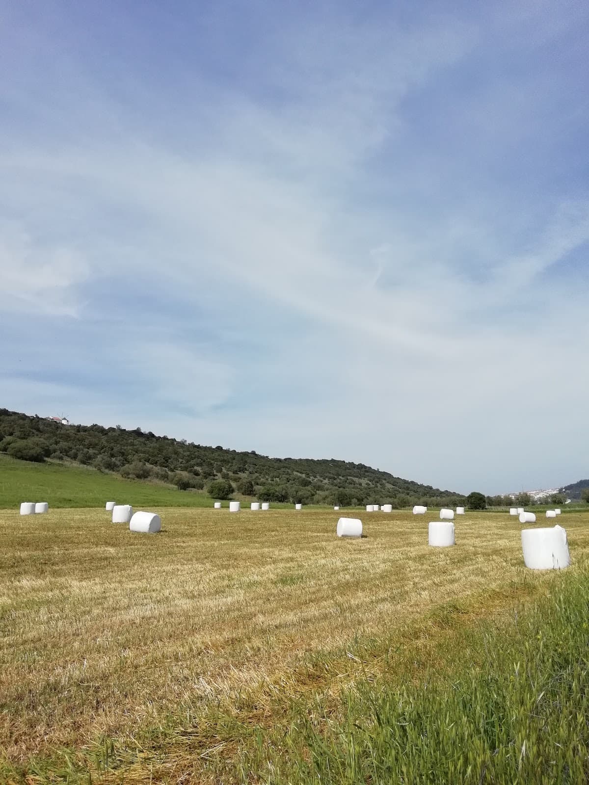 Vale de Barris - Image 1