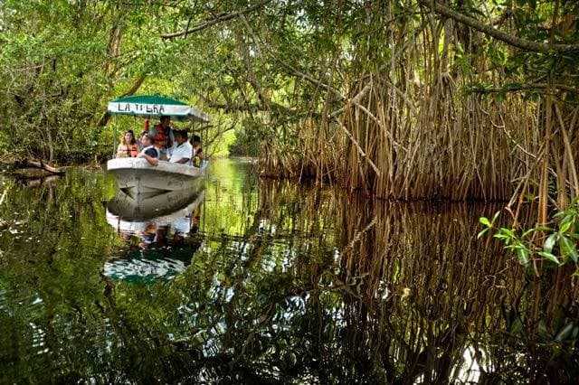 Pantanos de Centla Biosphere Reserve - Image 1