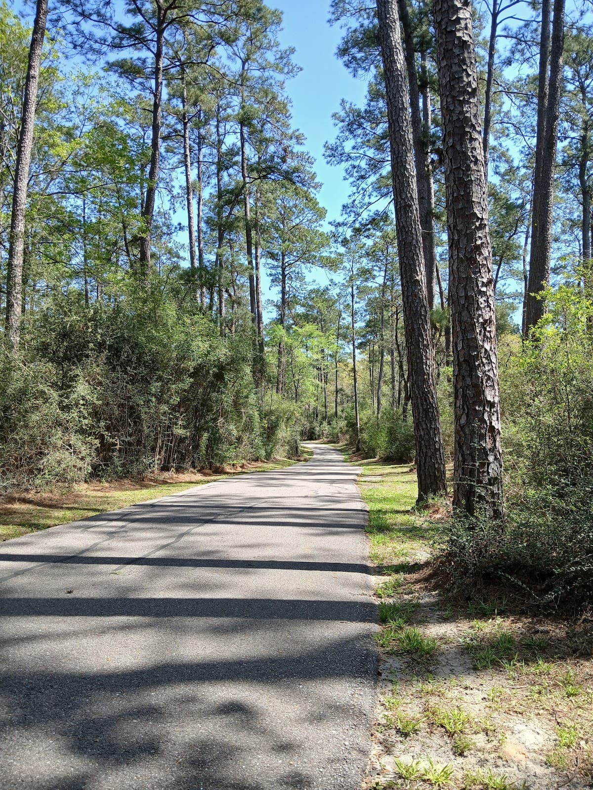 Spring Creek Greenway - Image 1