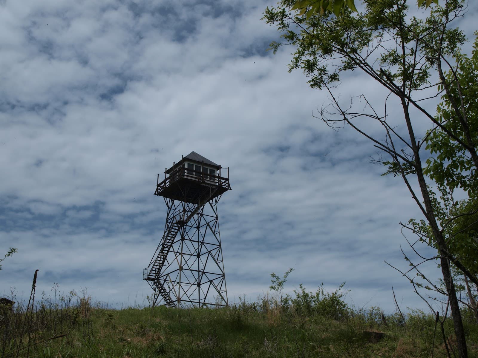 Thorny Mountain Fire Tower - Image 1