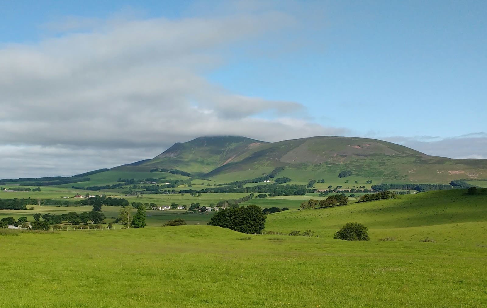 Tinto Hill - Image 1