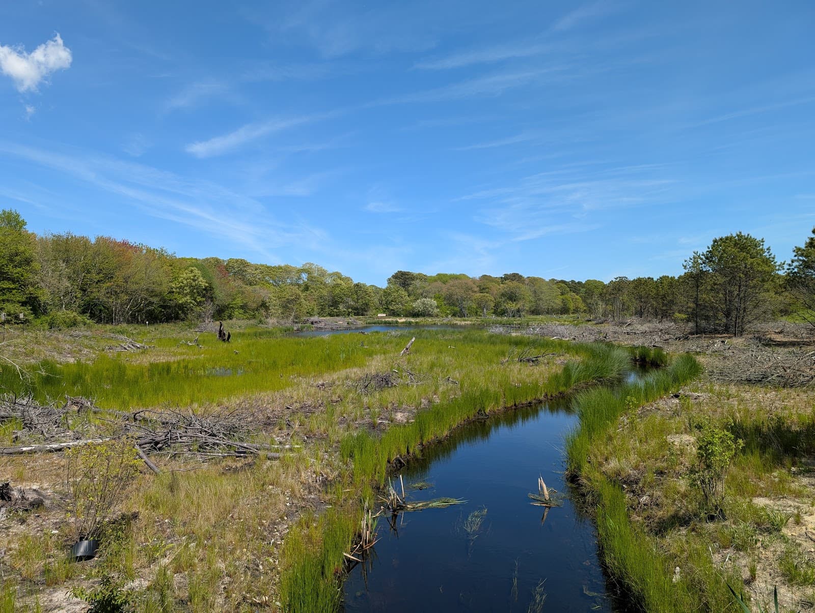 Bank Street Bogs Nature Preserve - Image 1