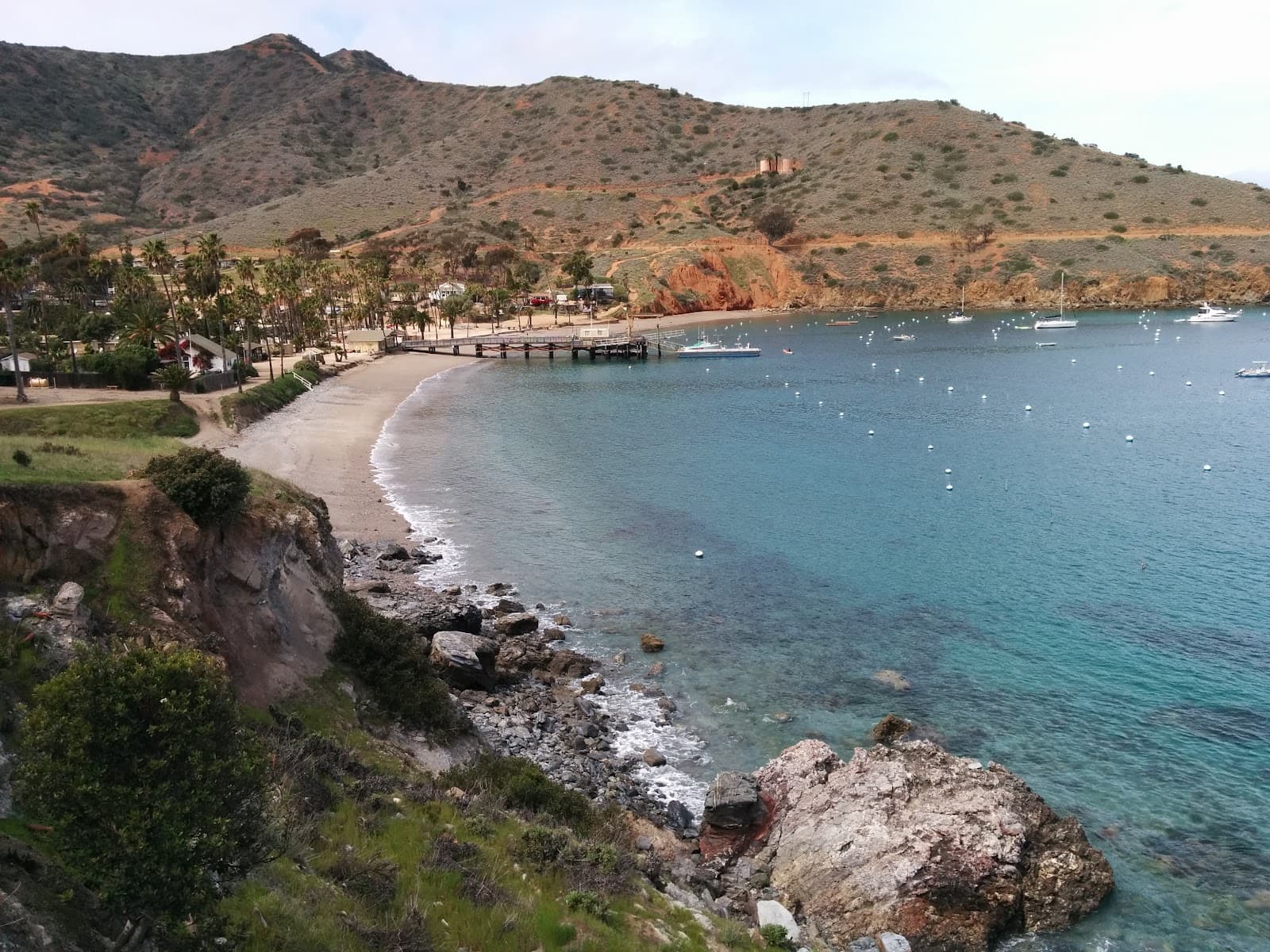 Catalina Island - Image 1