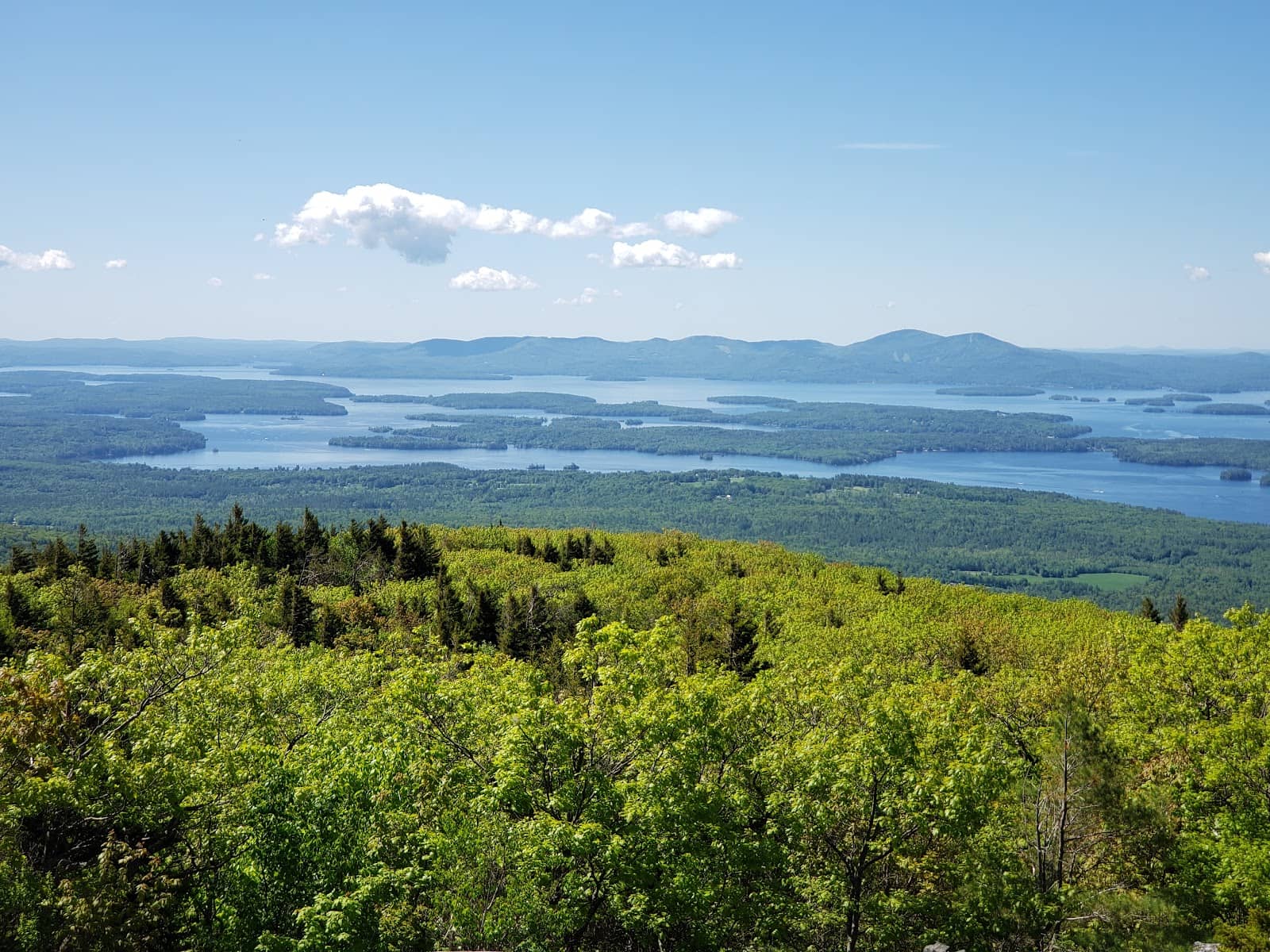 Mount Roberts Trail Hike