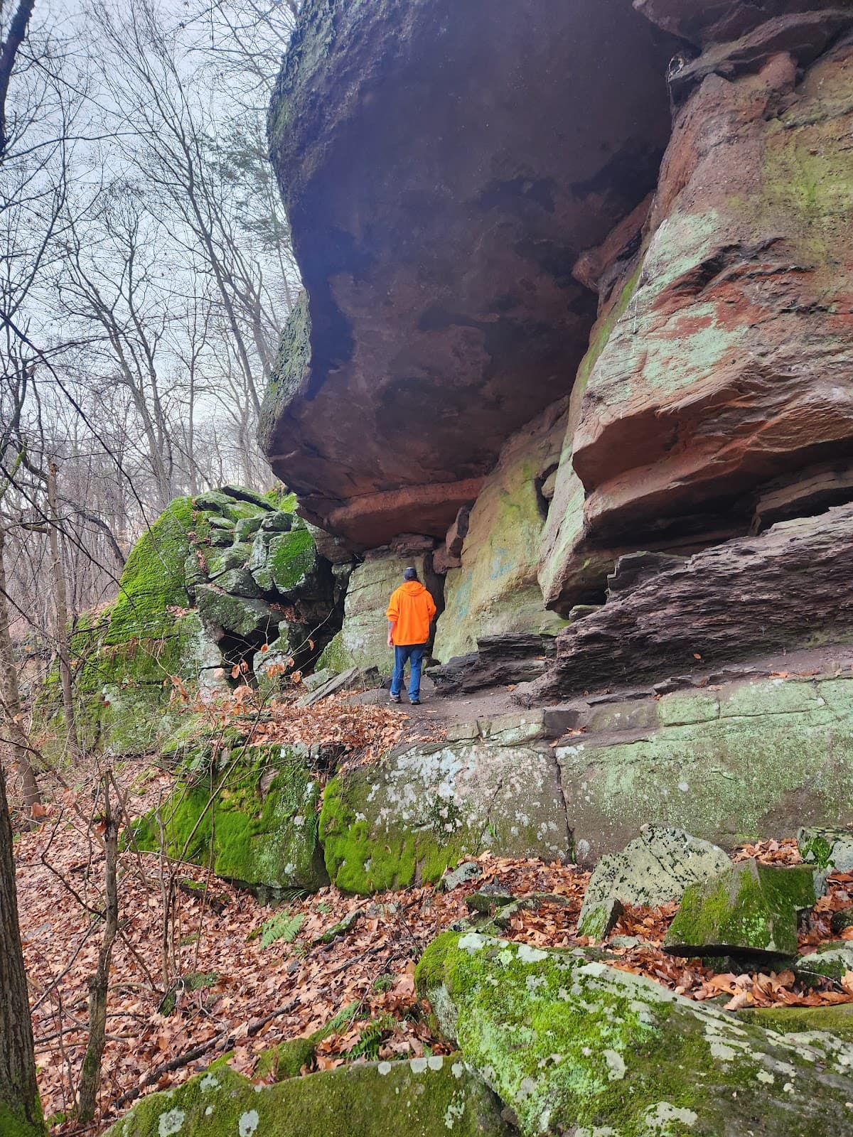 Mount Norwottuck & Horse Caves - Image 1