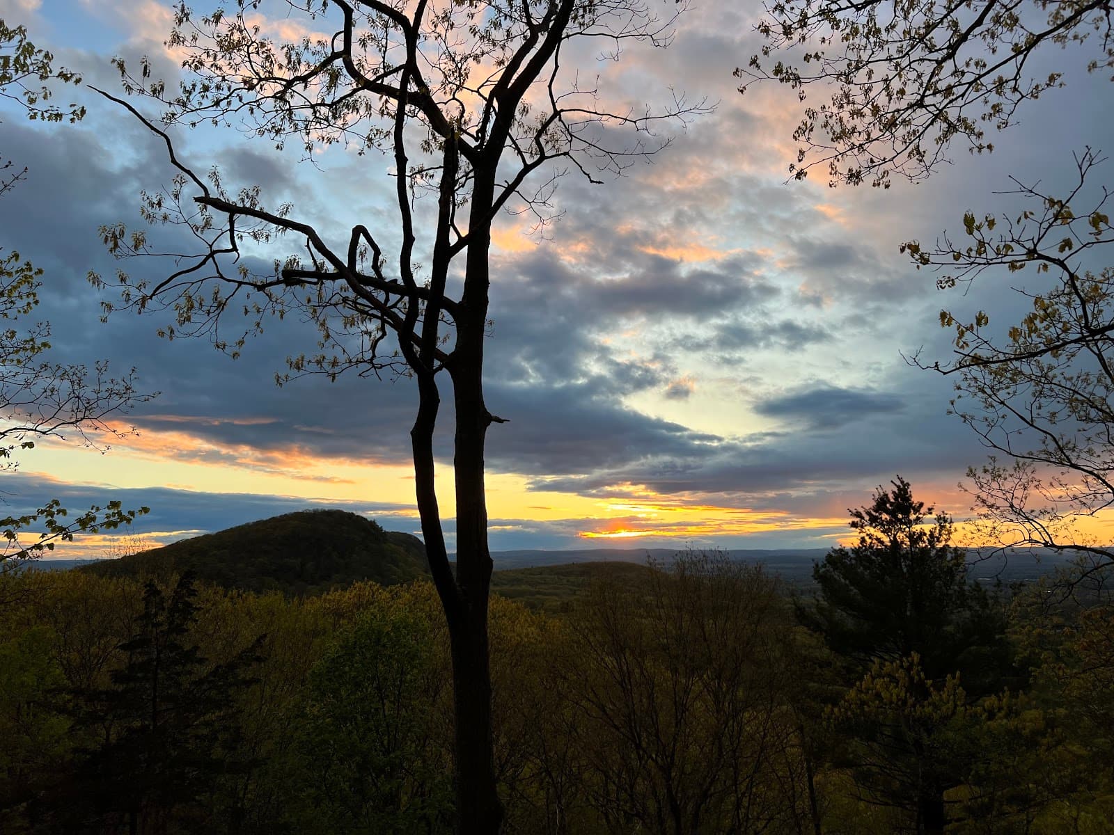 Wentworth Farm Conservation Area - Image 1