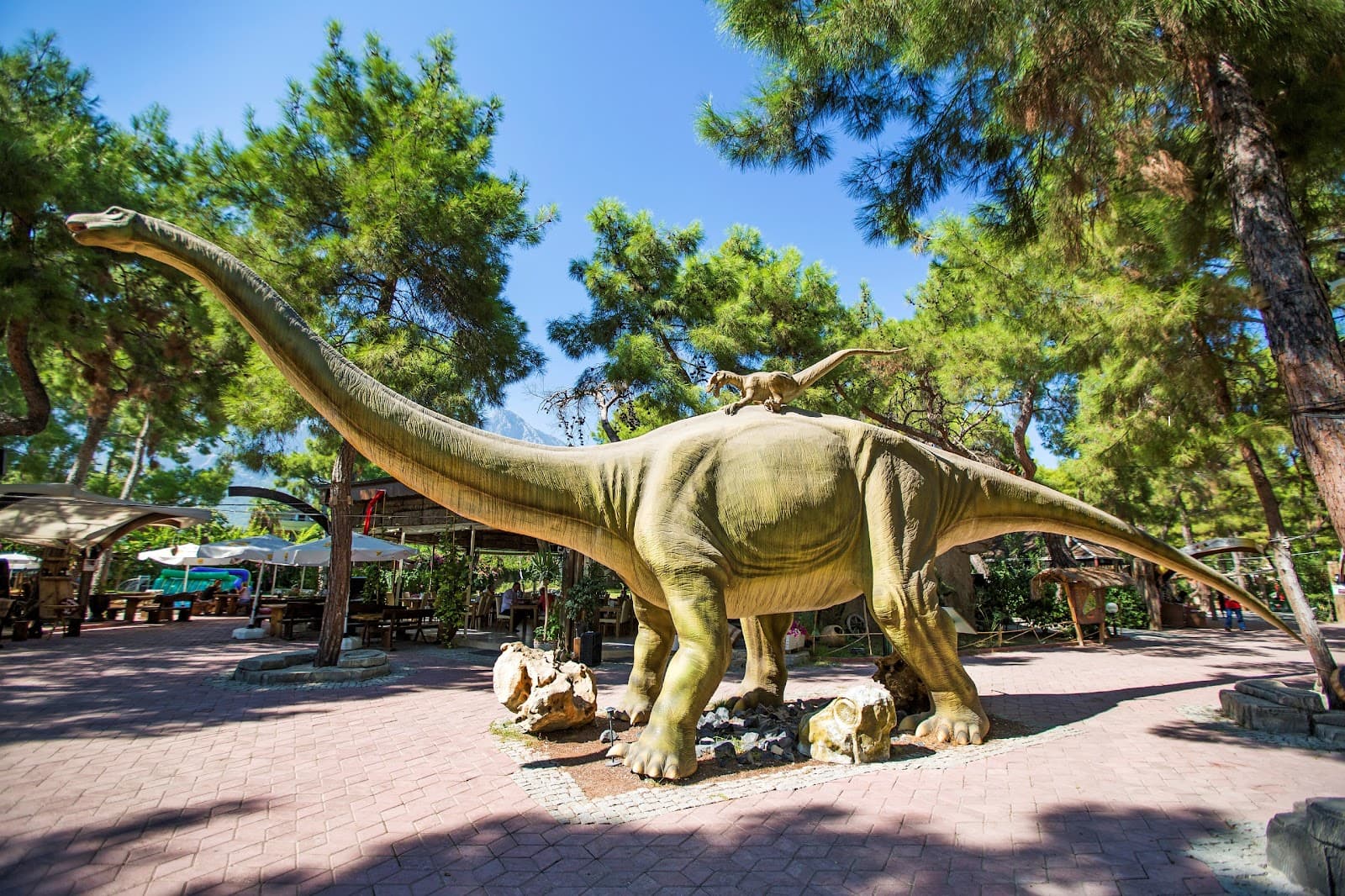 Antalya Dino Park - Image 1