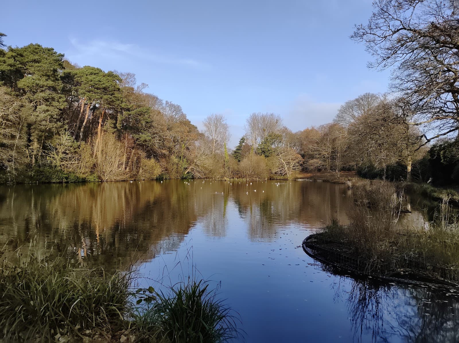 Hiltingbury Lakes - Image 1