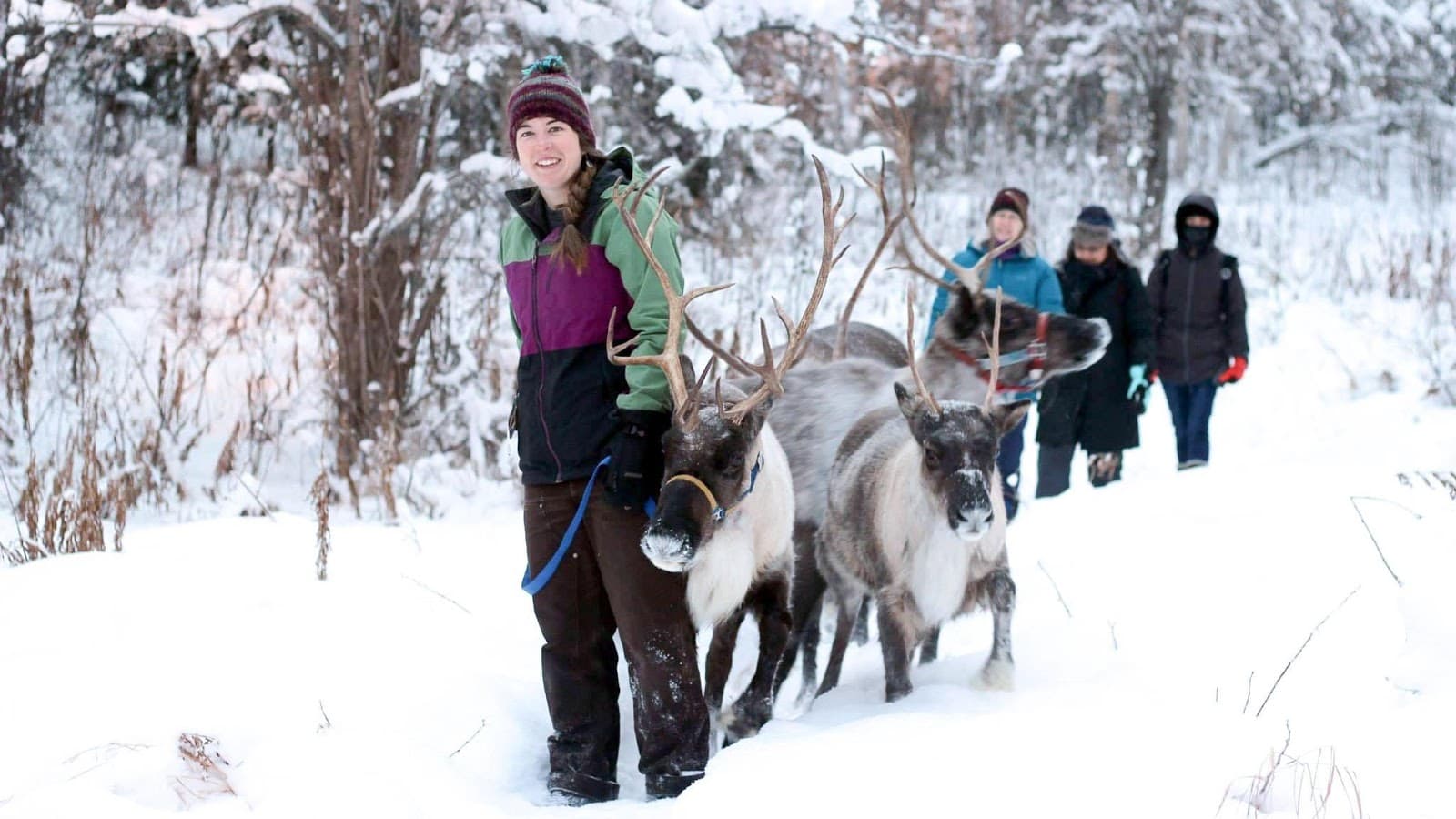 Running Reindeer Ranch - Image 1