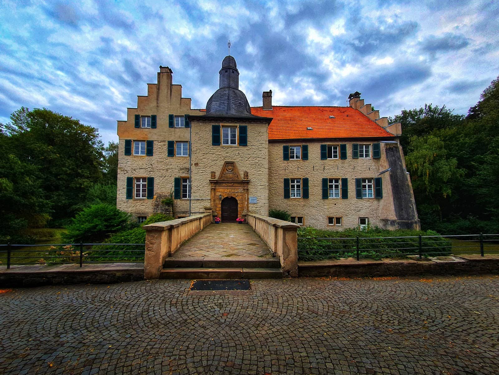 Ancient Magnolia Tree