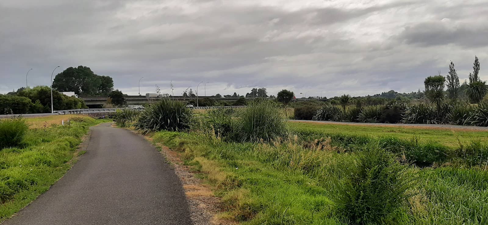 Birdlife and Nesting