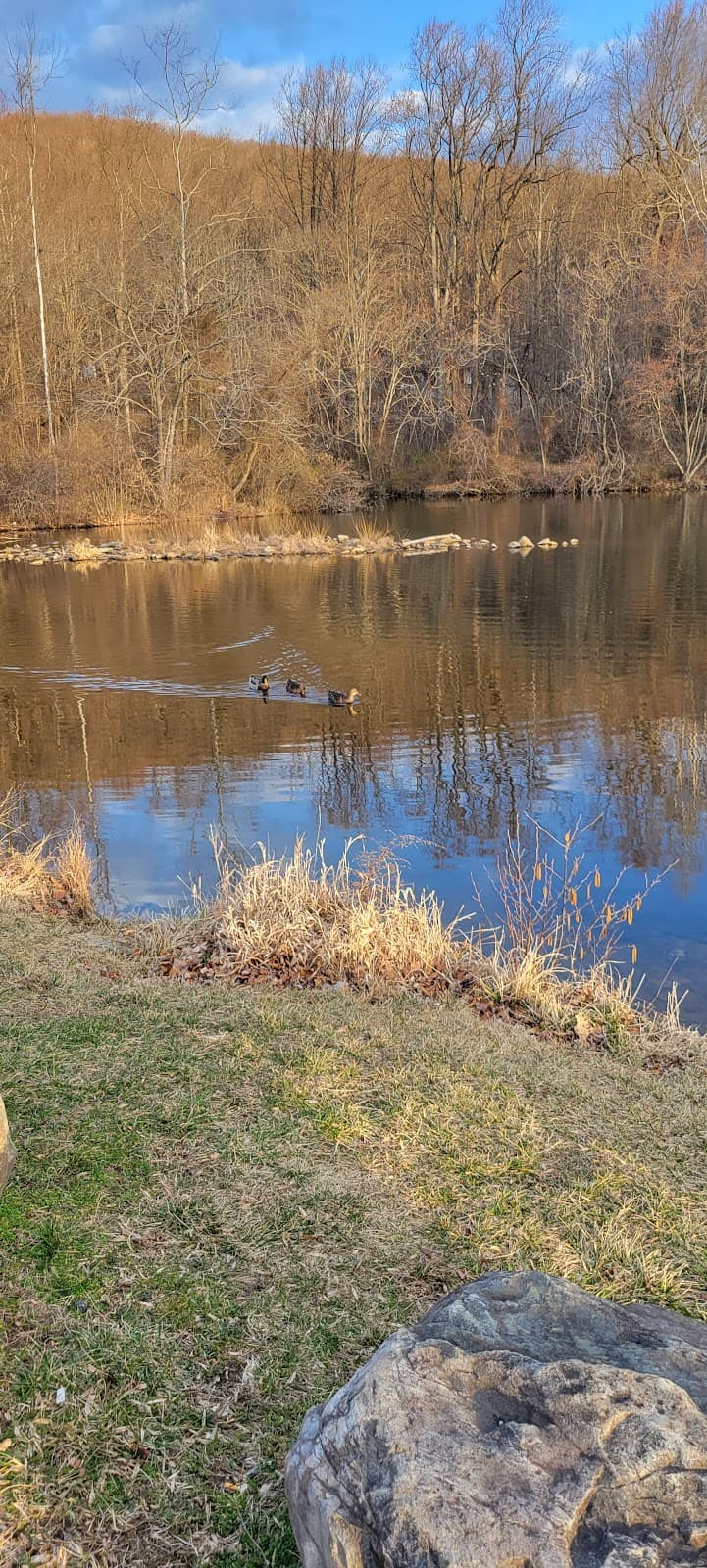 Frank Bentz Memorial Lake - Image 1