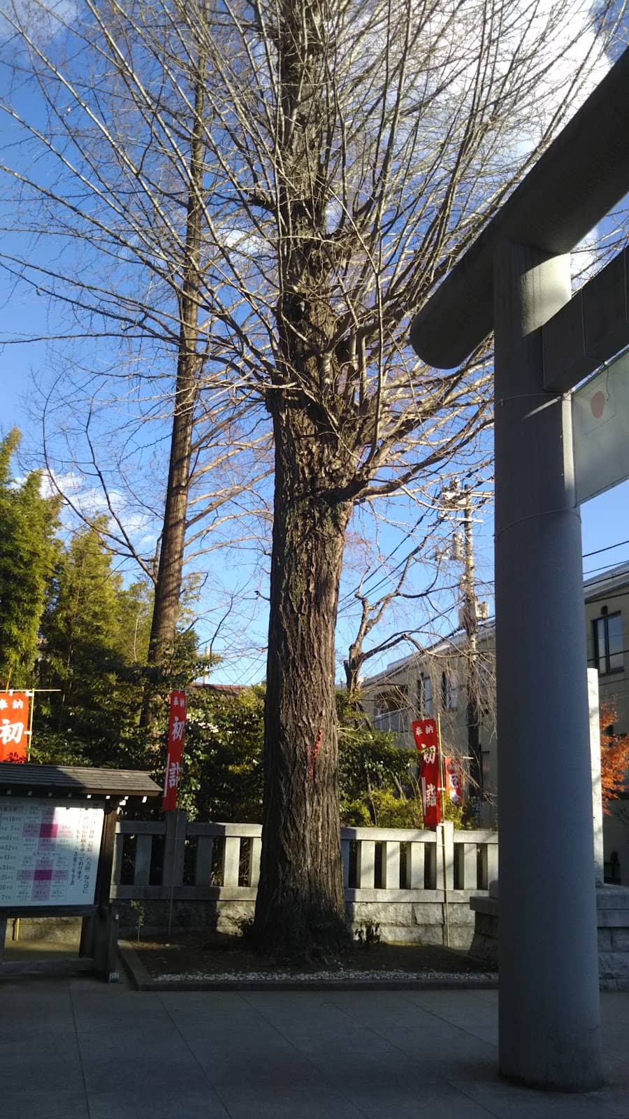 Vertical photo