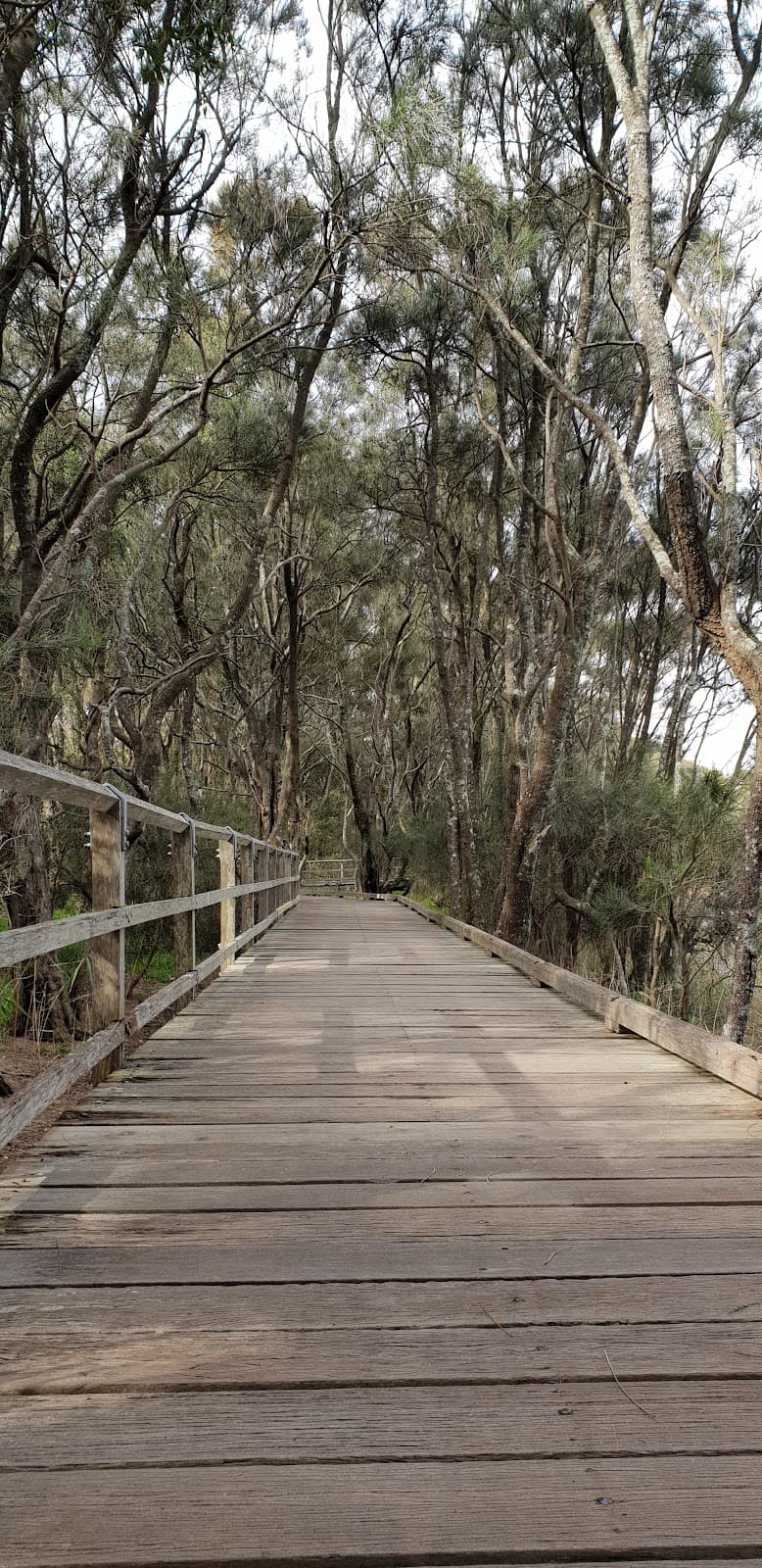 Puckey's Estate Nature Reserve Wollongong - Image 1