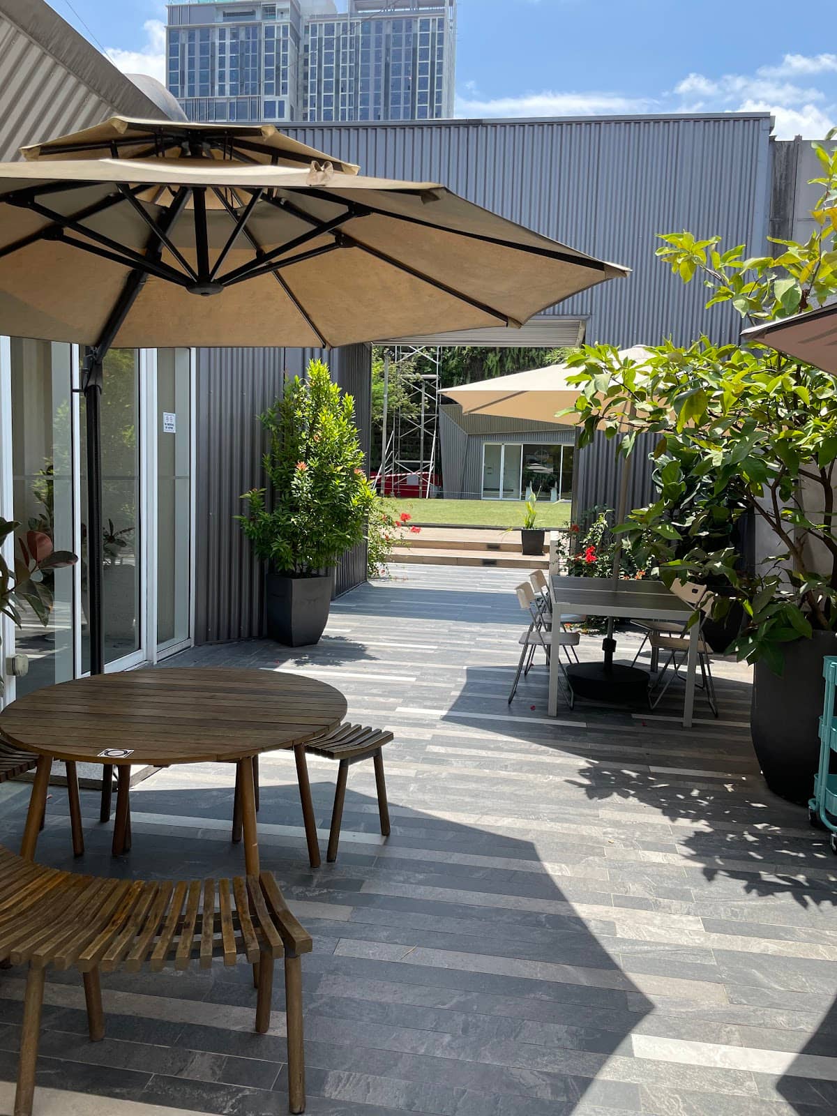 Green Oasis in the City