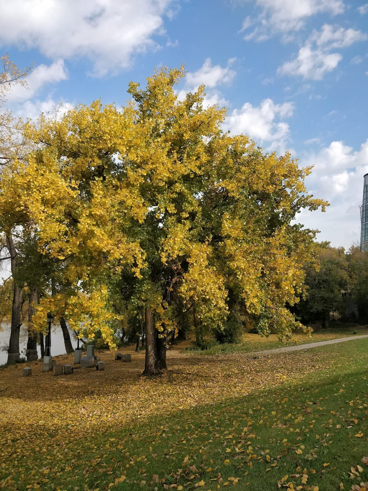 Assiniboine Riverwalk Winnipeg - Image 1