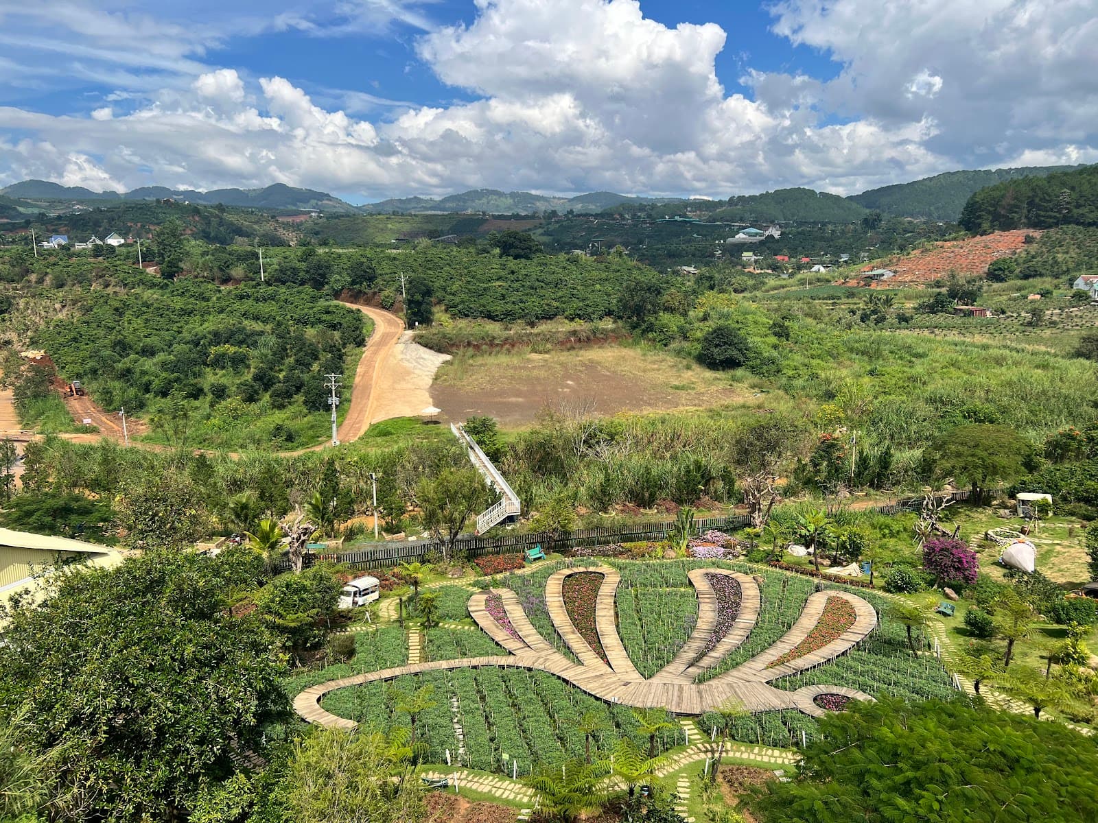 Tuyen Lam Pine Forest - Image 1