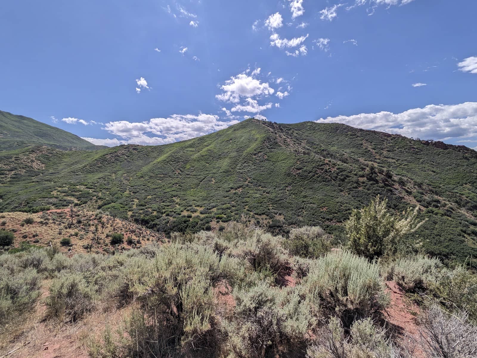 Rugged Terrain Section