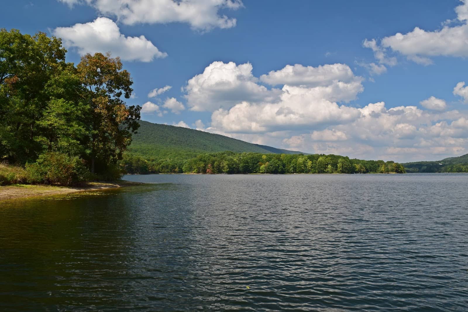 Public Beach & Swimming