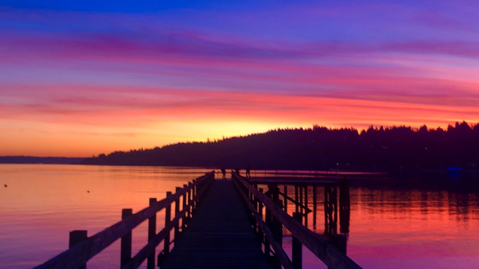 Point White Pier - Image 1