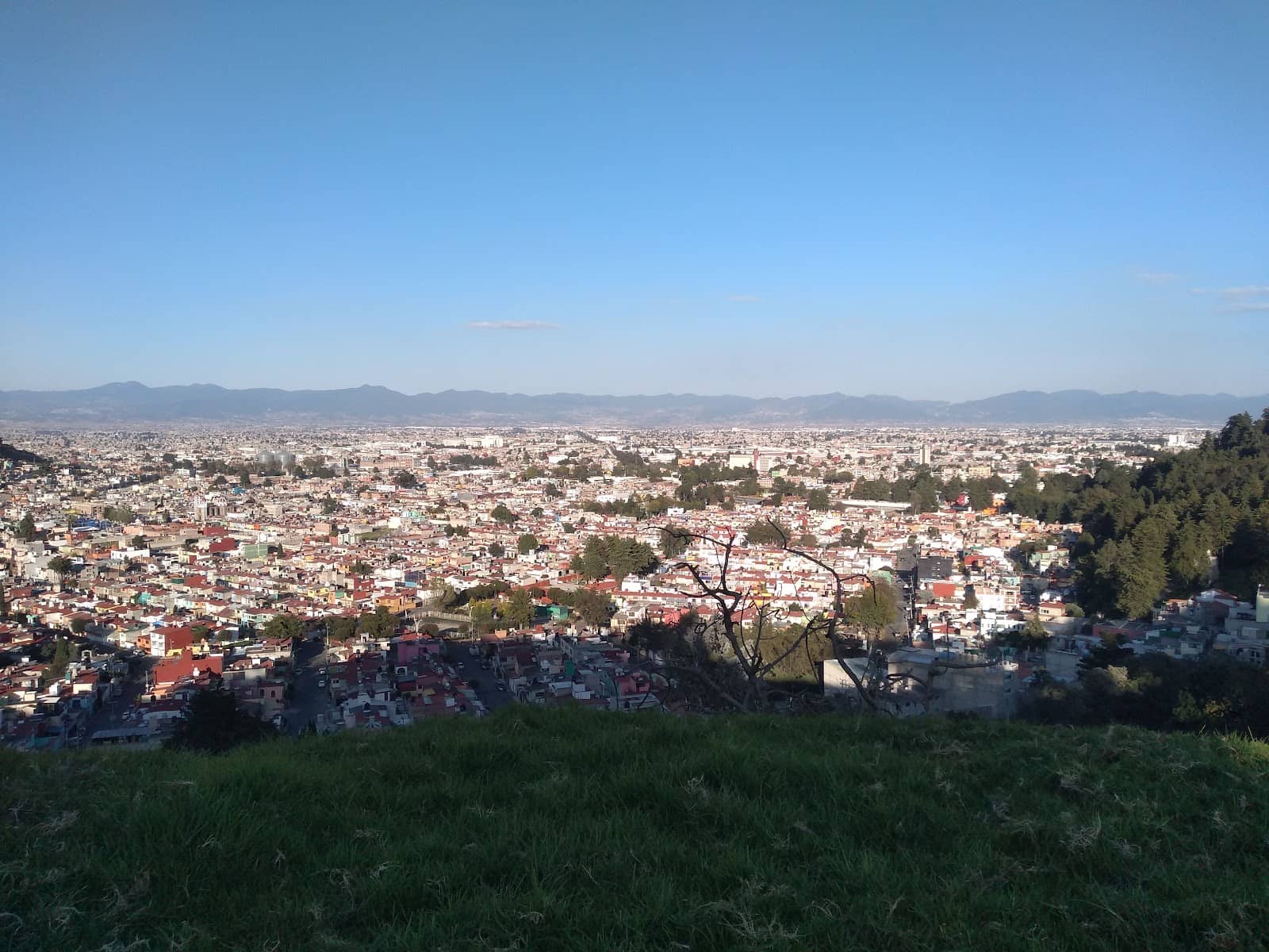 Local Community Vibe